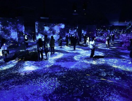 Avatar: The Way of Water Immersive Pop-Up